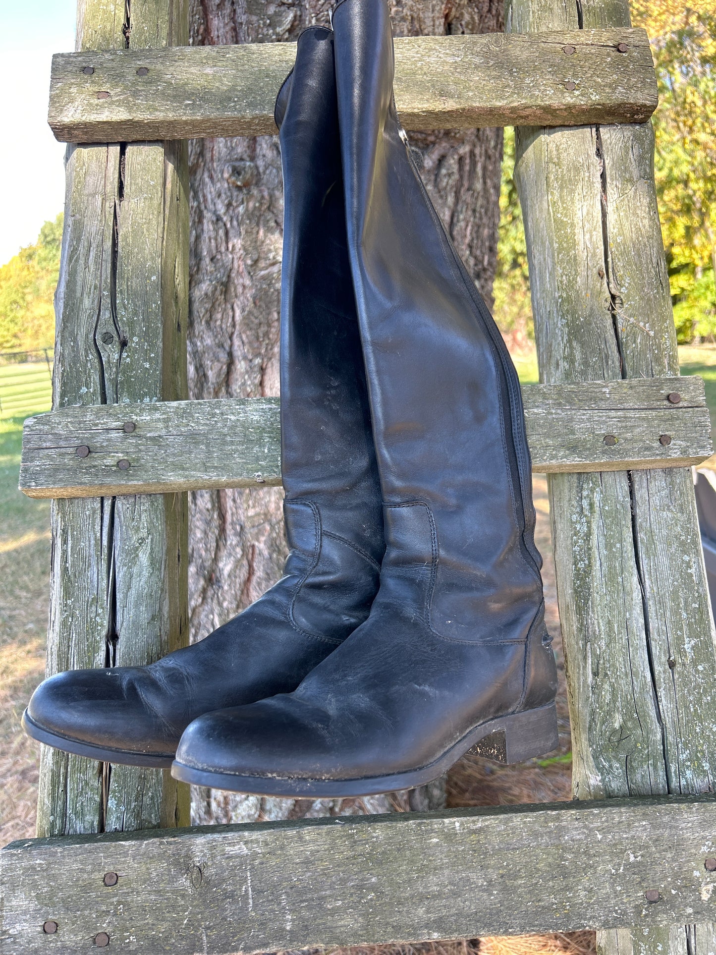 Ariat Heritage Contour Dress Zip Tall Riding Boot