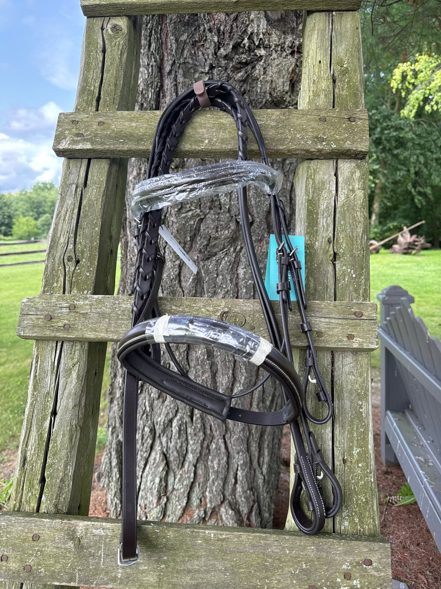 NEW Fancy Stitch Hunter Bridle with Laced Reins