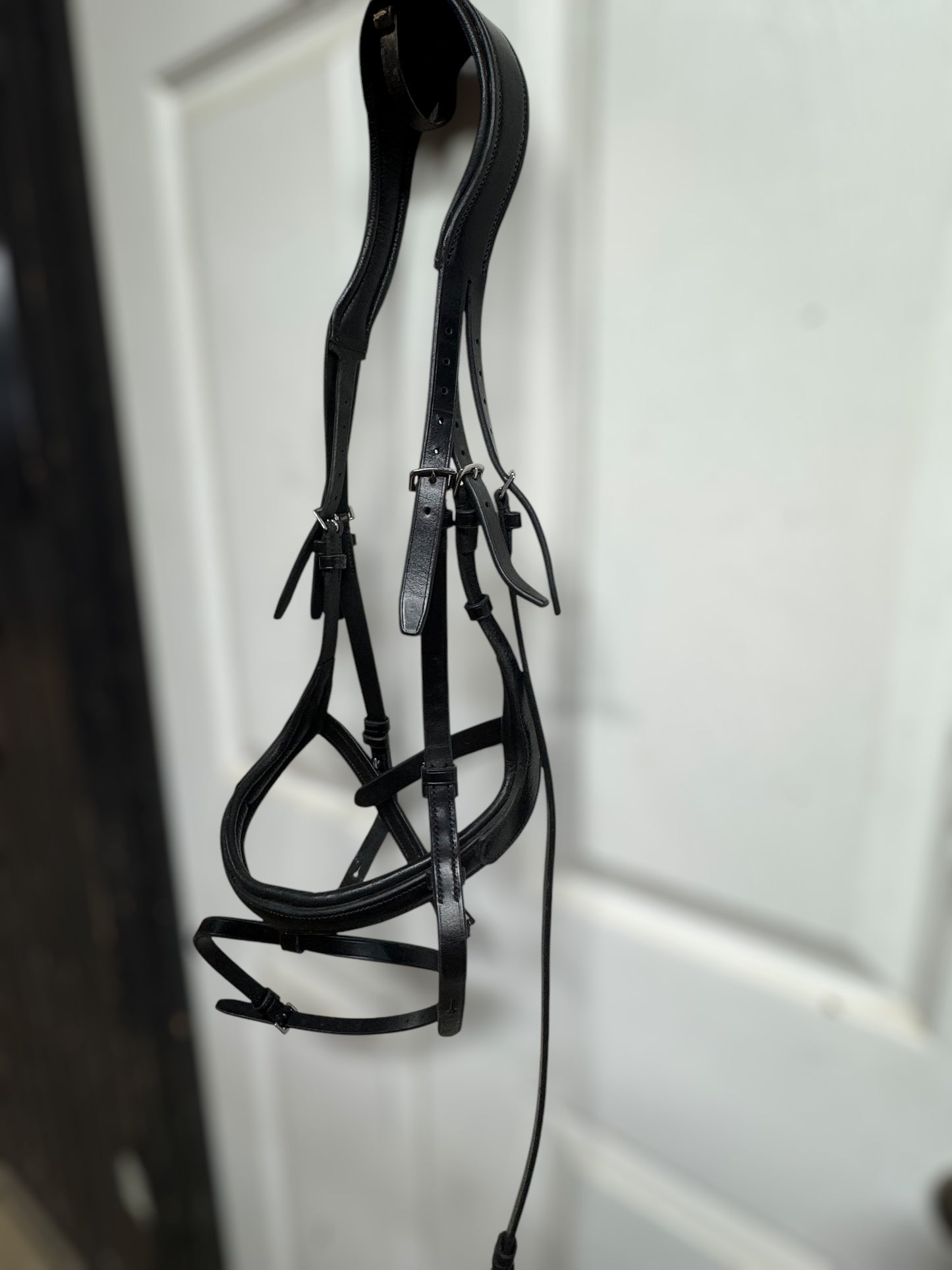 Passier Micklem Flash Bridle